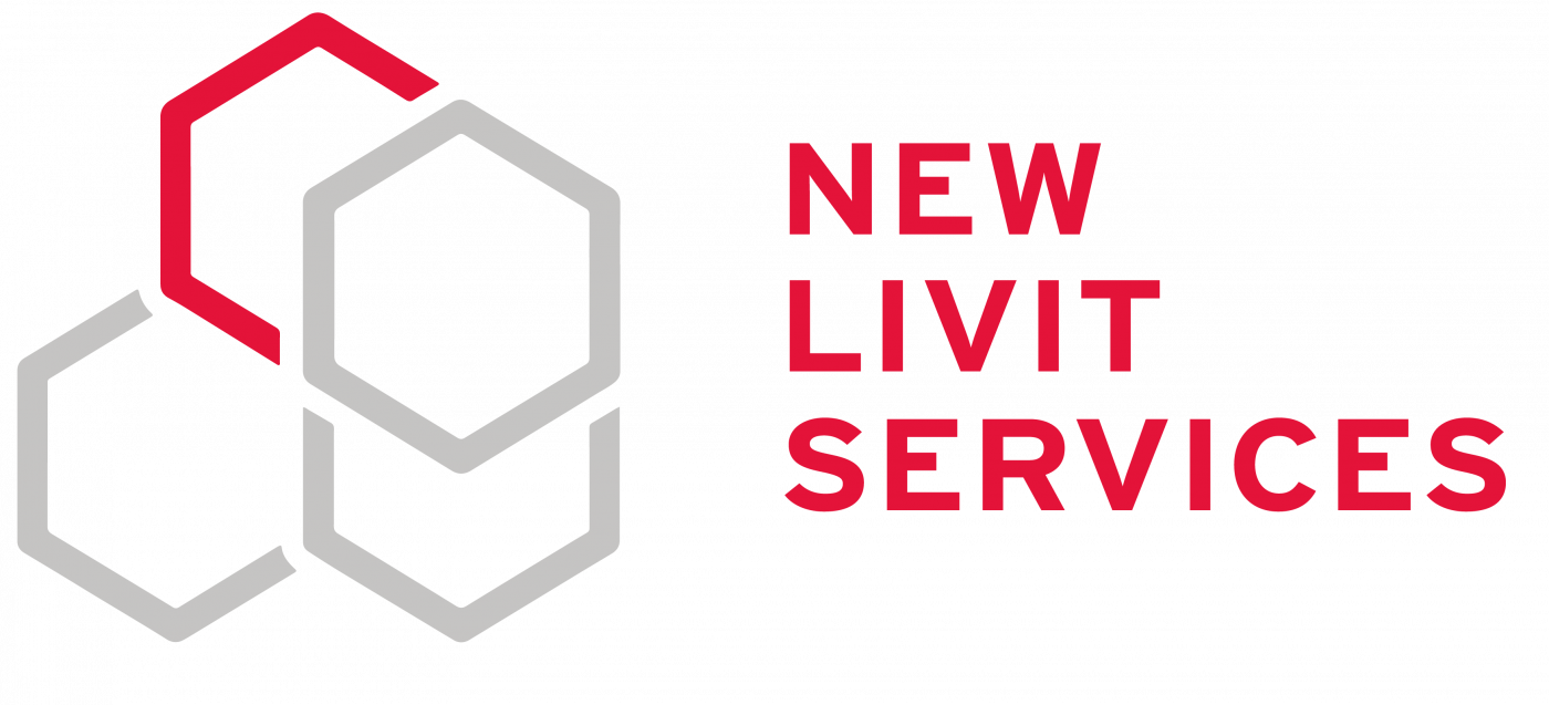 GruppoNew New Livit Services informatica Milano Cusago